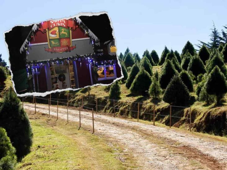 En este bosque de Veracruz se encuentra un parque temático navideño denominado “Noël”