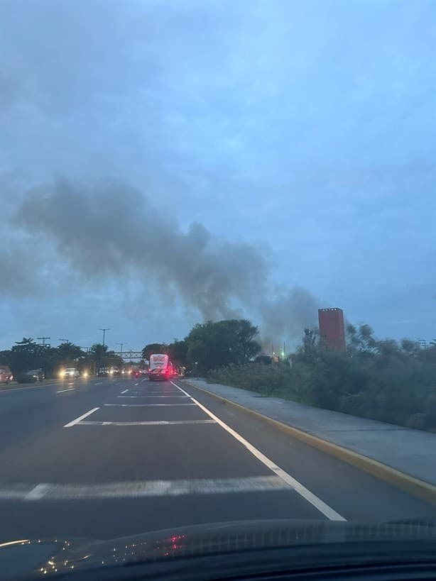 Se registra incendio de pastizal cerca de fraccionamiento de Veracruz