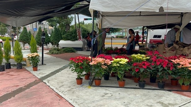 Instalan tianguis navideño en Poza Rica; esto podrás encontrar