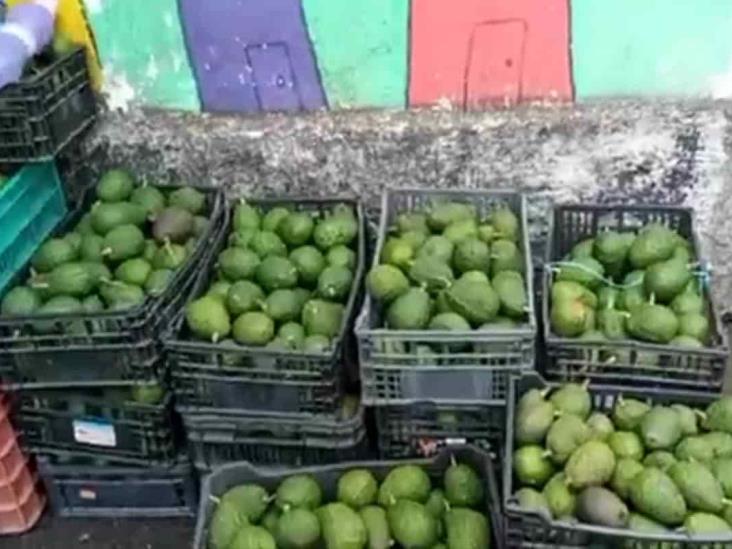 ¿Una bolsa de aguacate en 40 pesos? Realizan venta solidaria en Xalapa (+Video)