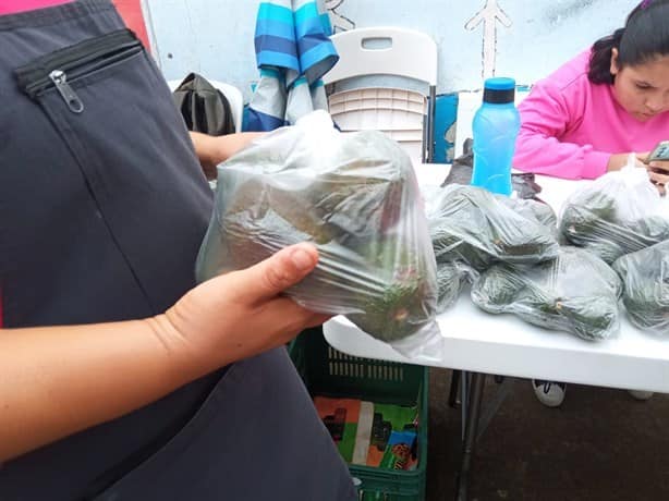 ¿Una bolsa de aguacate en 40 pesos? Realizan venta solidaria en Xalapa (+Video)