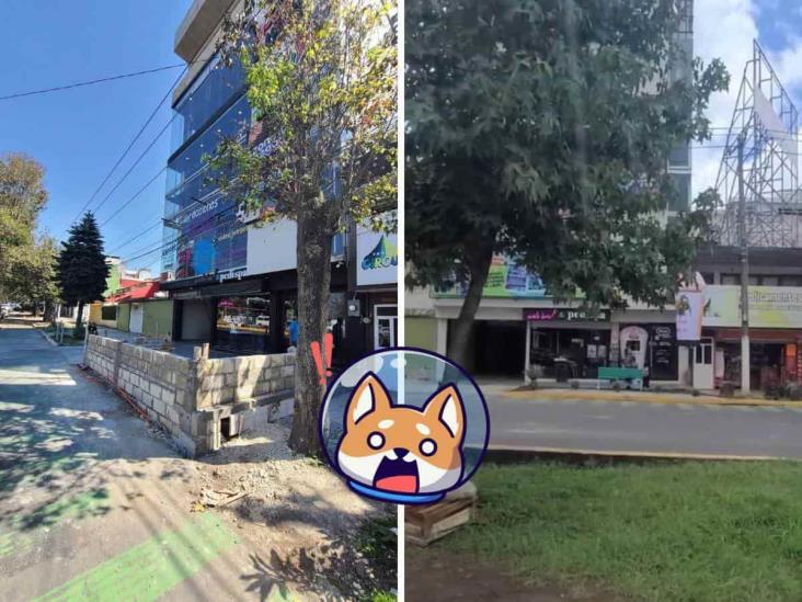 Conocido negocio en Xalapa vuelve ‘a las andadas’; se querían ‘agandallar’ la banqueta