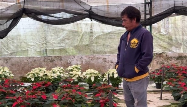 Vivero La Estanzuela, más de 30 años vendiendo flores de Nochebuena