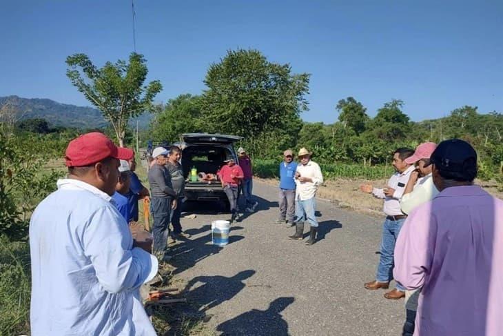 Vecinos realizan faena para labores de bacheo en la carretera Naranjos - Misantla