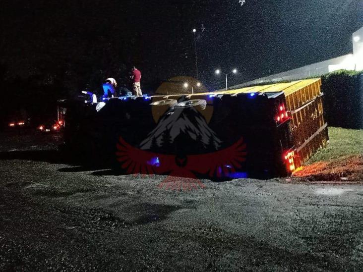 Camión cargado de pollos sufre volcadura en carretera Fortín-Huatusco