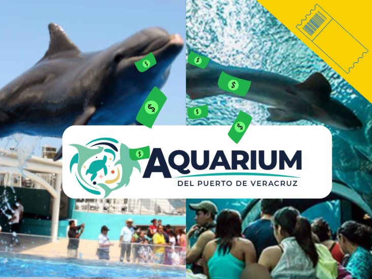 Entradas gratuitas al Aquarium de Veracruz, te decimos el día