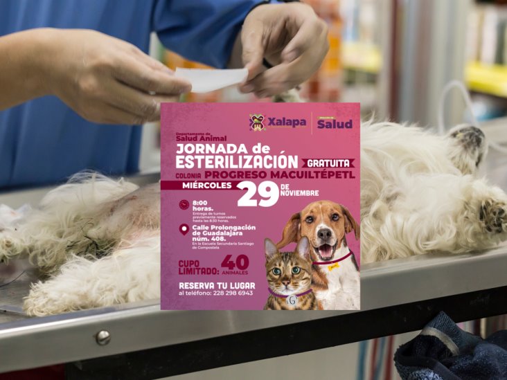 Jornada de esterilización gratuita en Xalapa