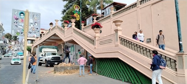 ‘Rematan’ al emblemático árbol del Parque Juárez de Xalapa