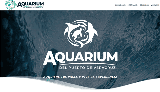 Entradas gratuitas al Aquarium de Veracruz, te decimos el día