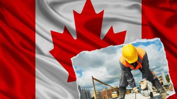 are you looking for a job?  Canada asks Mexicans to work for 38,000 pesos