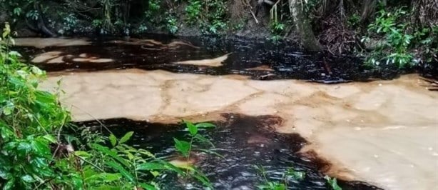 Fuga de hidrocarburo contamina arroyos en comunidades de Papantla
