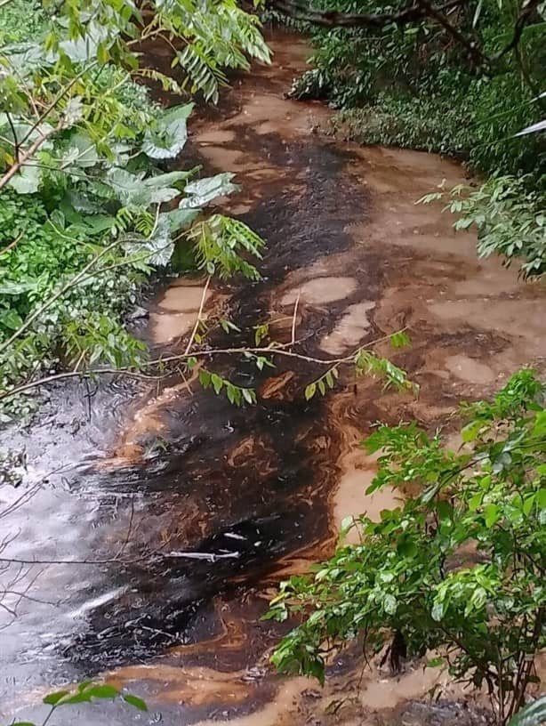 Fuga de hidrocarburo contamina arroyos en comunidades de Papantla