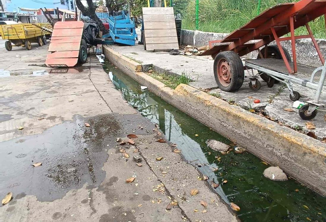 Agua estancada y drenaje dañado, problemas sin resolver del Mercado Malibrán