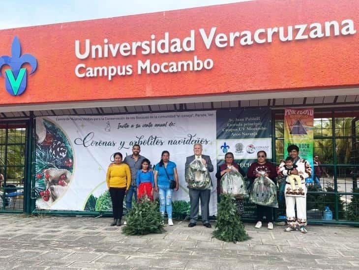 Para proteger un bosque comunidad de artesanos vende pinos navideños en la UV