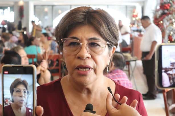 Diputada propondrá en Cámara de Diputados que federación ayude a renovar taxis de Veracruz