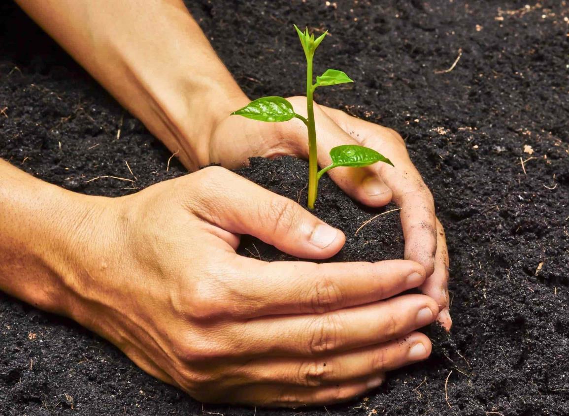 Día Nacional de la Conservación, compromiso con el futuro