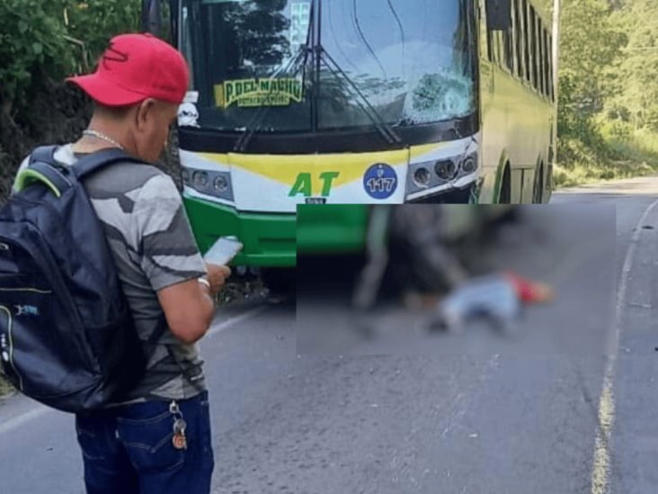 Motociclista adolescente fallece tras impactar contra autobús en Atoyac