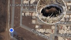 Vaca cae en alcantarilla en colonia de Veracruz; piden ayuda para sacarla | VIDEO