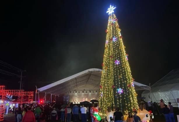 En Álamo, asombra austera decoración navideña en el Parque Central 