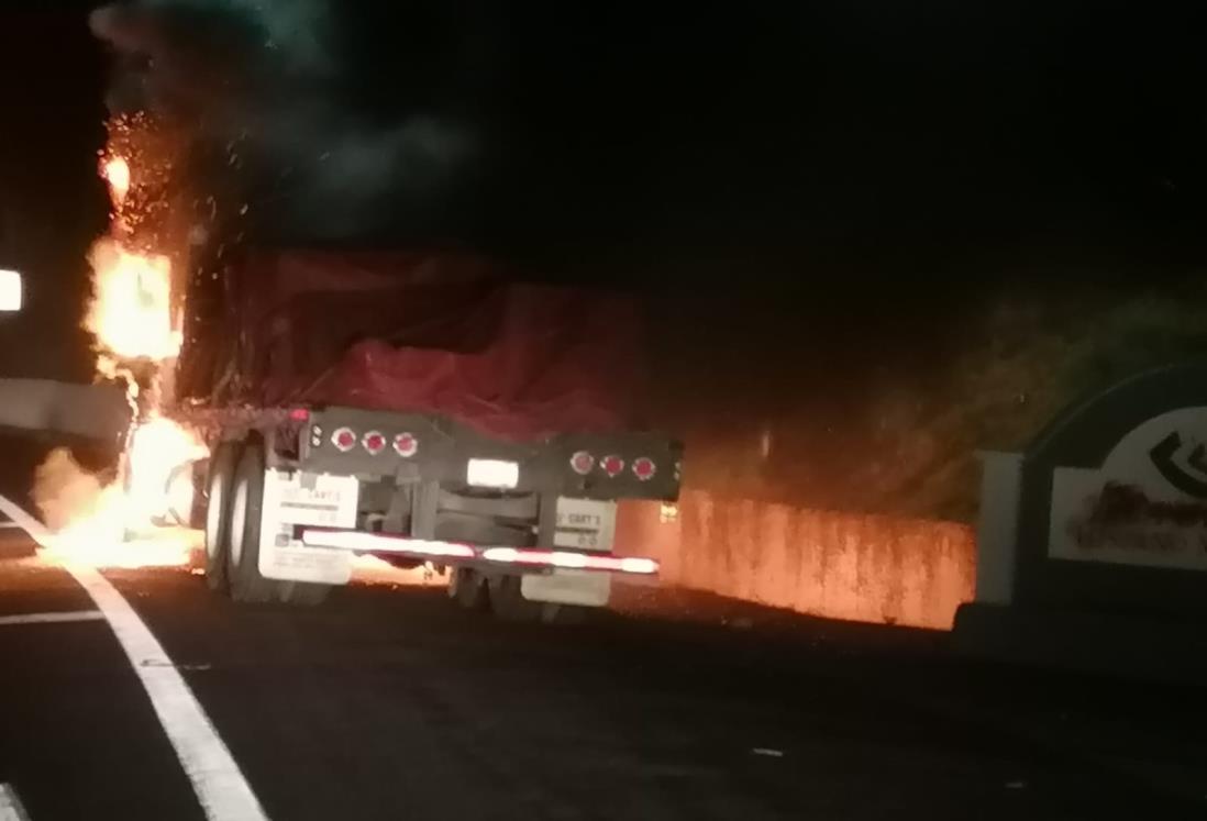 Fuego consume a camión tortón en La Antigua, Veracruz