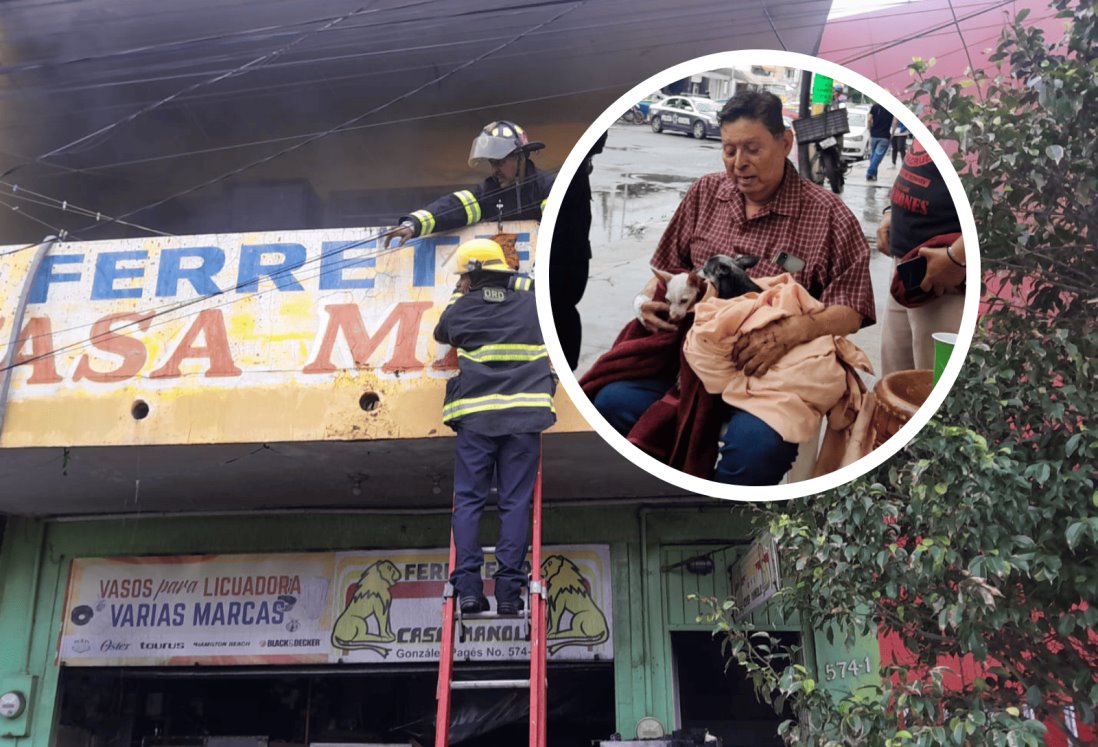 Se incendia local en el centro de Veracruz; rescatan a tres perritos | VIDEO