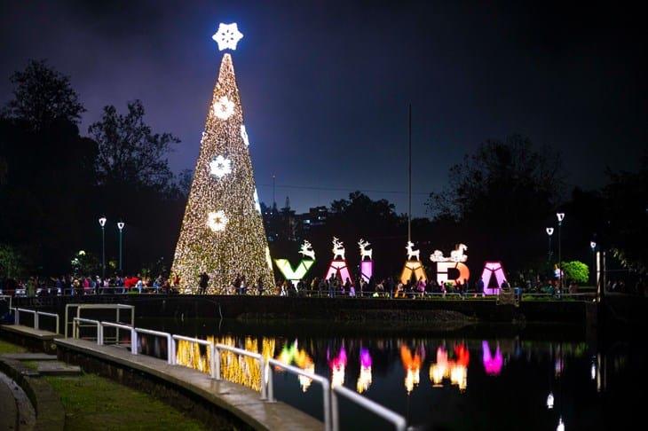 ¿A qué hora se iluminará todos los días el pino monumental en Los Lagos de Xalapa?