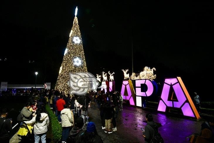 ¿A qué hora se iluminará todos los días el pino monumental en Los Lagos de Xalapa?