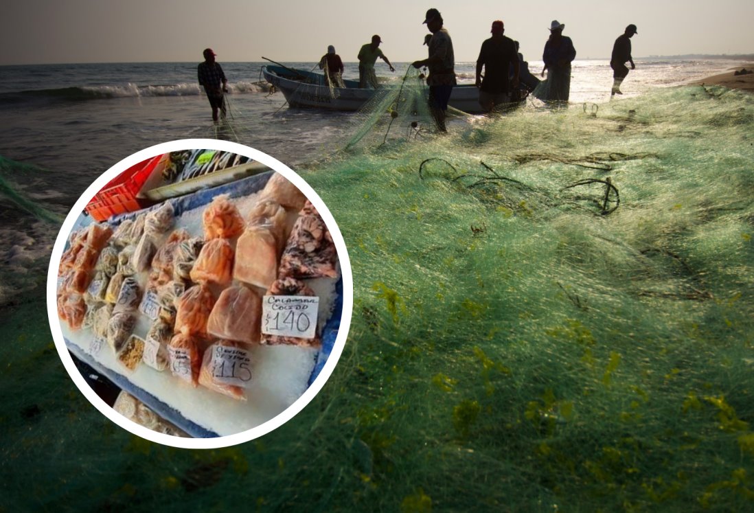 Adaptarán el muelle del pescador como nuevo punto de venta de mariscos en Veracruz