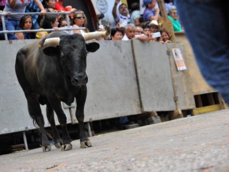 SCJN revierte suspensión para que se realicen corridas de toros en la CDMX