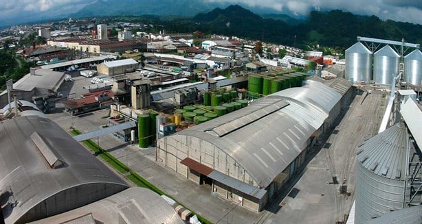 En este municipio de Veracruz se elabora uno de los aceites más consumidos por amas de casa