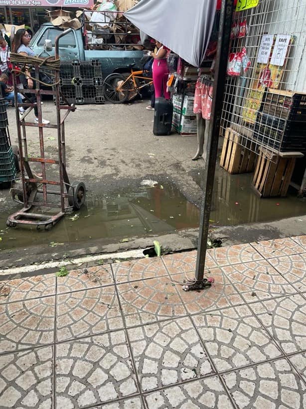 Mercados de Veracruz, inundados de aguas negras cada vez que llueve