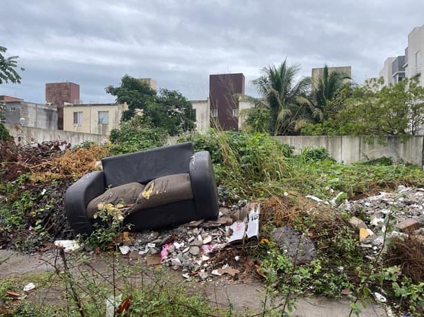 Convierten lotes baldíos en Veracruz en basureros clandestinos