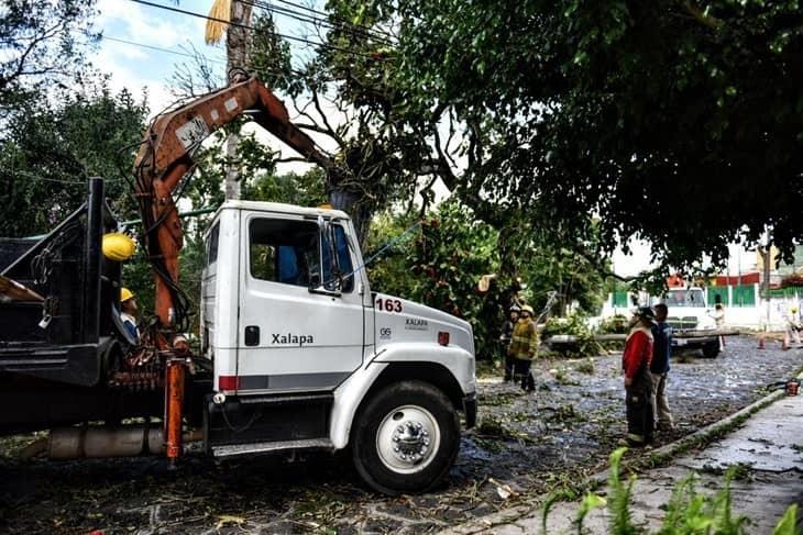 Xalapa: alertan por incremento de vientos y lluvias en las próximas horas