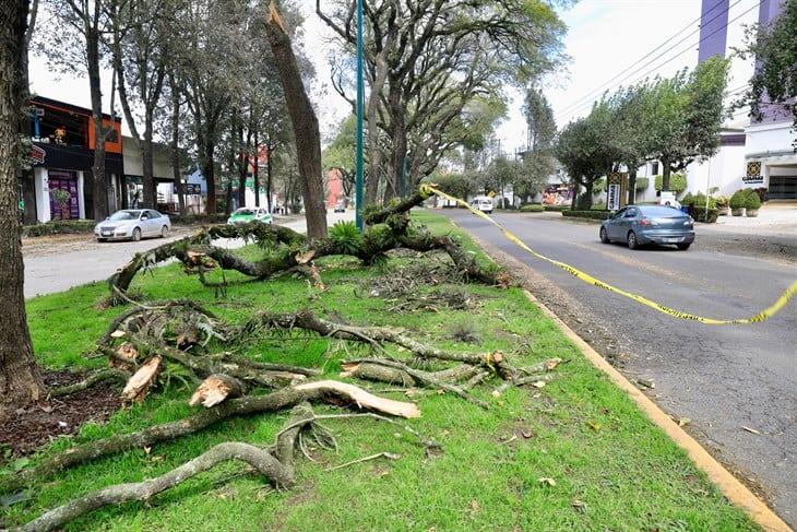 Xalapa: alertan por incremento de vientos y lluvias en las próximas horas