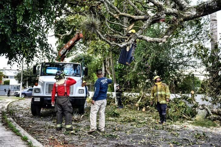 Xalapa: alertan por incremento de vientos y lluvias en las próximas horas