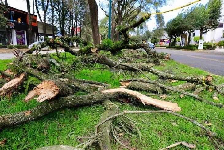 Xalapa: alertan por incremento de vientos y lluvias en las próximas horas