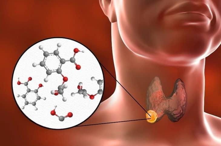 IMSS Veracruz Norte alerta sobre disruptores hormonales