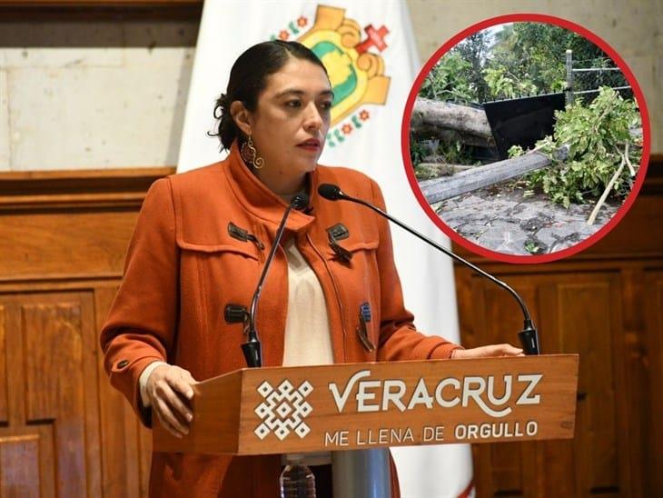 Frente Frío 16 afectó 29 municipios de Veracruz; deja 43 viviendas dañadas y heridos