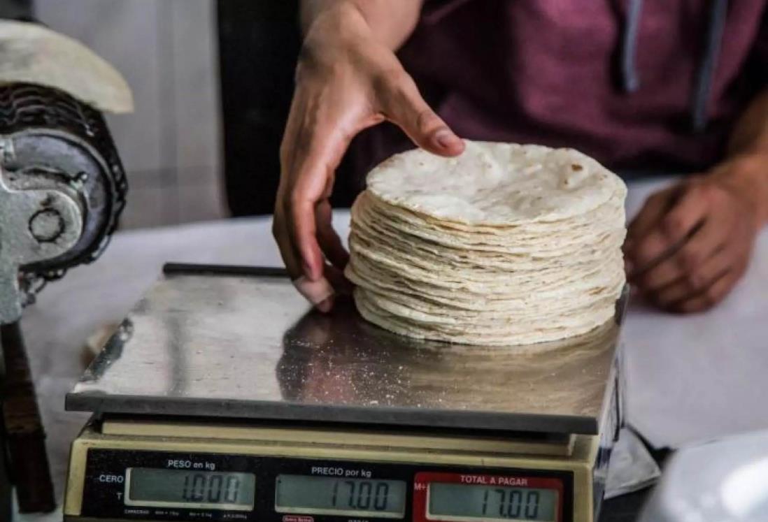 ¿Aumentará el kilo de tortilla en Veracruz y Boca del Río? Esto sabemos
