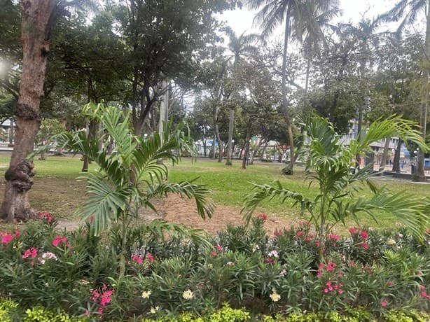Así luce el parque Zamora en Veracruz tras ser rehabilitado