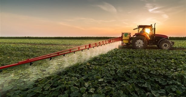 Estos son los alimentos con mayor presencia de pesticidas en tu cocina