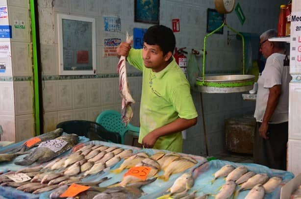 Se registra poca venta de pescados y mariscos en Veracruz