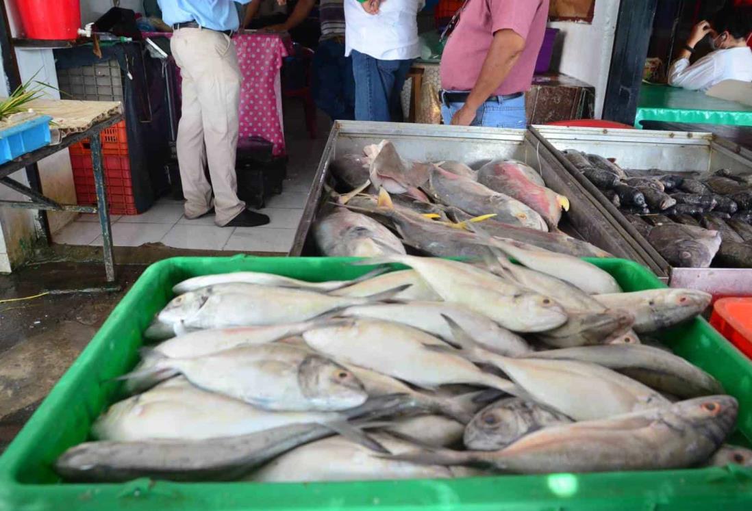 Se registra poca venta de pescados y mariscos en Veracruz