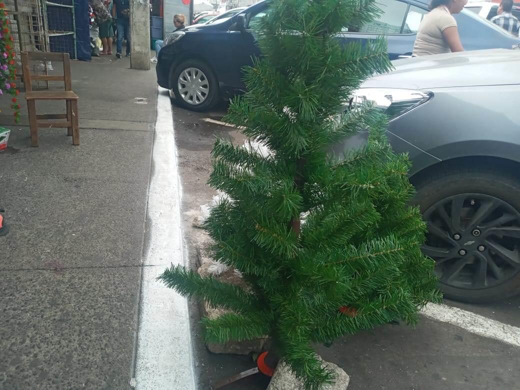 Hasta 3 mil 700 pesos cuestan árboles de Navidad de plástico en Veracruz