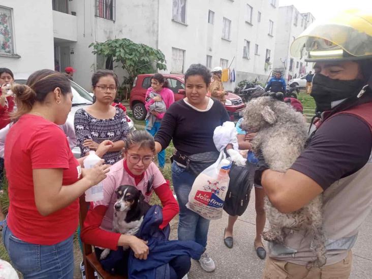 Rescatan a dos perros de voraz incendio en Córdoba