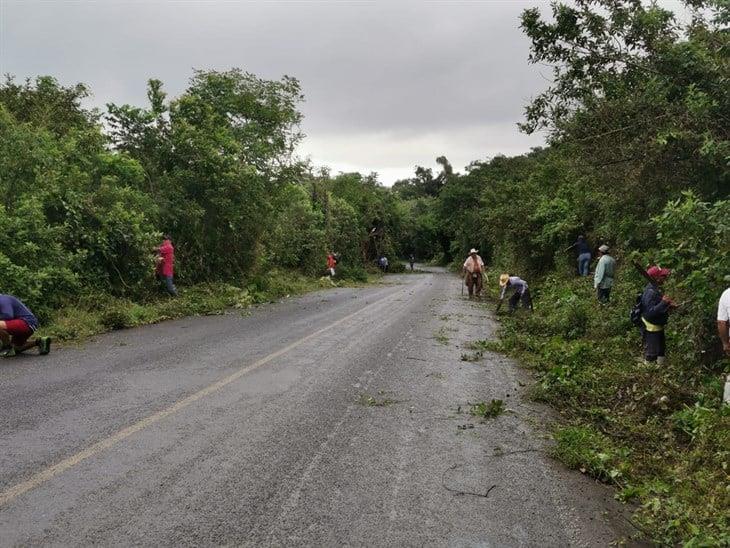 Habitantes de Plan de la Vega realizan faena en la carretera Misantla - Vega de Alatorre