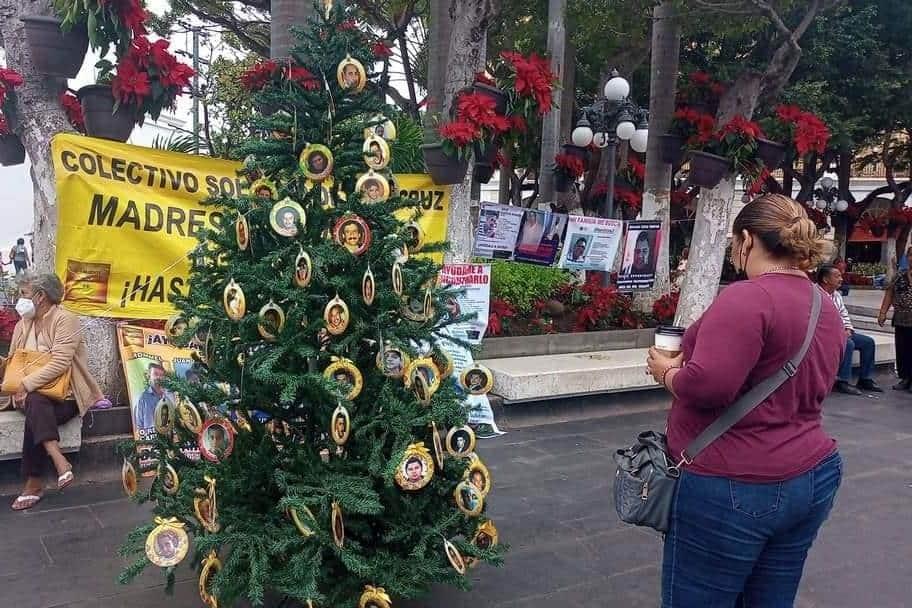 Colectivo Solecito espera autorización para colocar Árbol del Dolor en el Zócalo de Veracruz