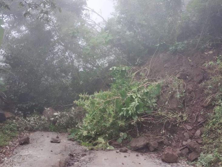 Derrumbe obstaculiza el paso entre Naranjos y Vaquería en Chiconquiaco