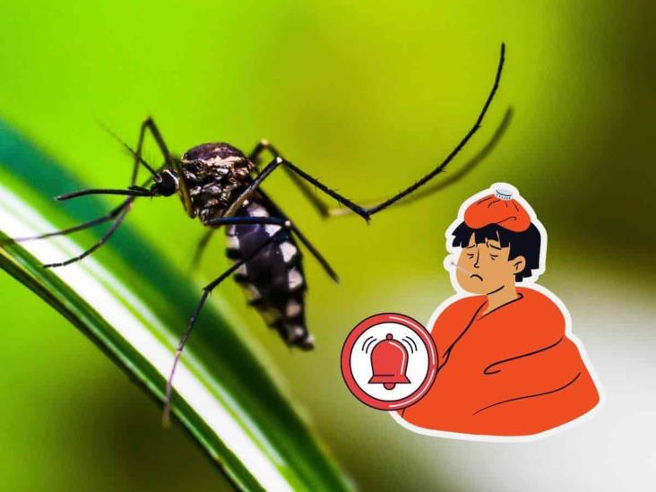 ¿Qué es el dengue? Peligrosa enfermedad que ha repuntado en México y Veracruz