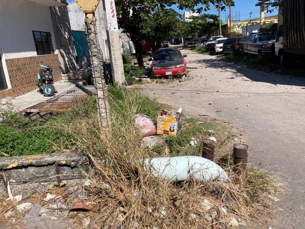 Denuncian acumulación de basura en calles de colonia de Veracruz